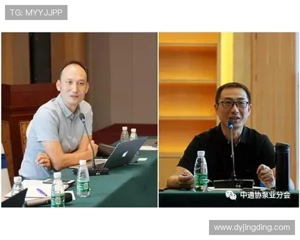 专访杨伟揭秘DOTA2成功背后的策略与团队协作秘诀