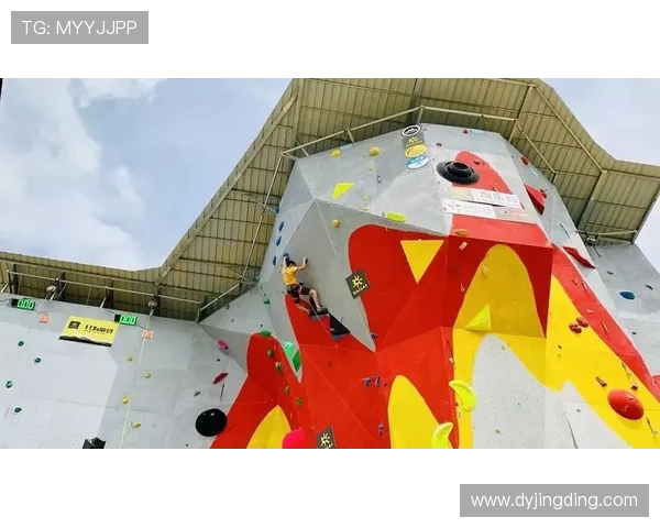 北京攀岩队个人能力表现的全面数据分析与评估报告