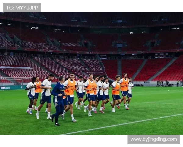 南京足球队在世界杯预选赛中的经验与表现分析与点评