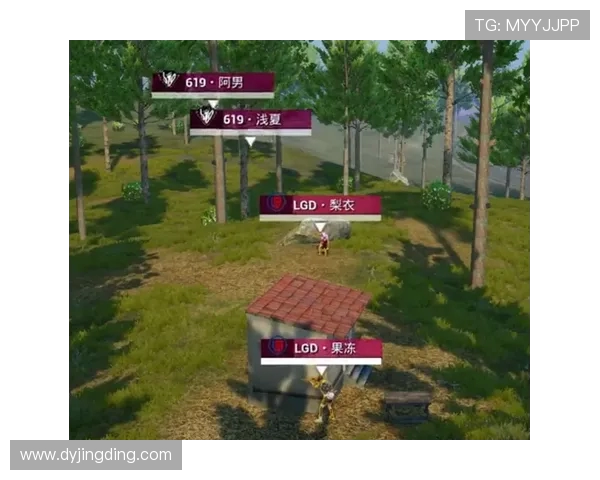 和平精英纪实：探索RNG战队在竞技场上的蜕变与成长之路