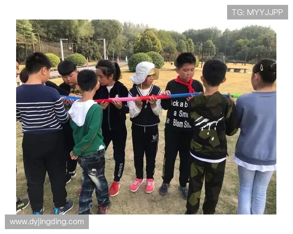 武汉羽毛球队在挑战赛中的团队协作表现分析与点评