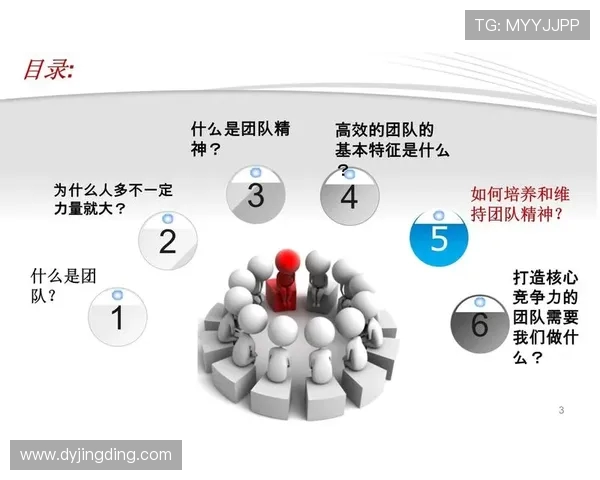 西安排球队的团队协作探讨与排球竞技精神的深度融合