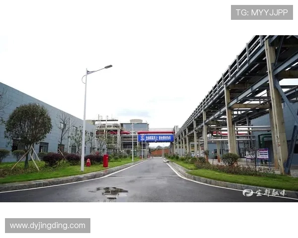 成都排球队的蜕变之路：从传统强队到现代化竞技新标杆